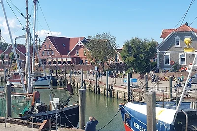 Apartament Dla rodzin Neuharlingersiel