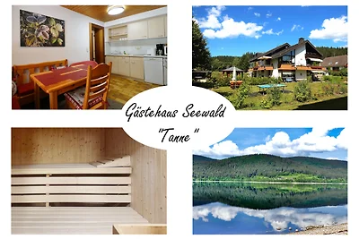 Gästehaus Seewald- Ferienwohnung 3