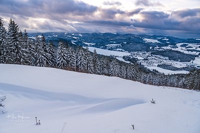 Vakantieappartement Gezinsvakantie Falkau