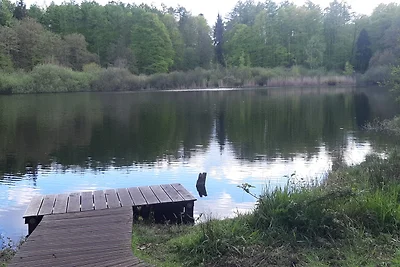 Vakantiehuis Ontspannende vakantie Brekendorf