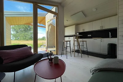 (203) Modernes Tiny House an der