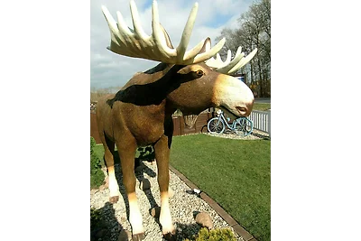 Vakantieappartement Gezinsvakantie Eschede