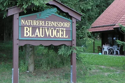 Casa de vacaciones Vacaciones de reposo Oberharz am Brocken