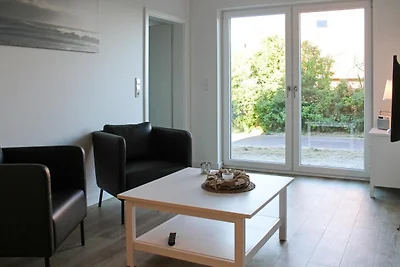 Lachmöwe, Haus an den Salzwiesen