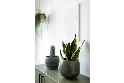 Fancy Apartment 01 - Urban Jungle