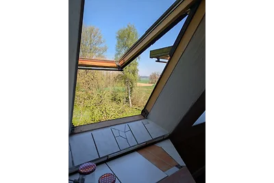 Planquadrat Glück - Die EINSAME