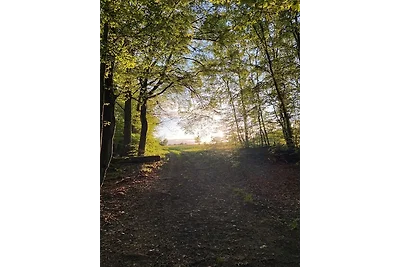 Ferienhaus Rosensteig 128 im