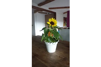 Schluchsee 102 qm mit Whirlpool