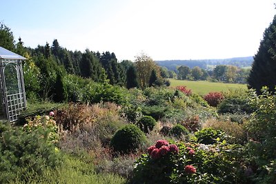 Ferienhaus Sonne, Harz und Sterne