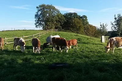 Ferienwohnung Wallberg