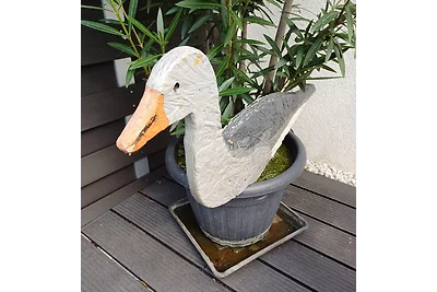 Nationalpark Apartment 2