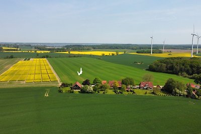 Vakantieappartement Gezinsvakantie Eckernförde