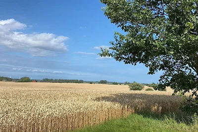 Gut Koselau Stellplatzwiese