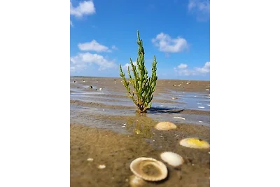 Landhaus Sonnenglück-freistehend