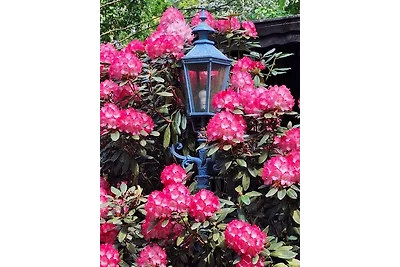 Traumhaftes Reetdachhaus "Grote