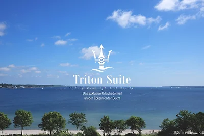 Triton Suite