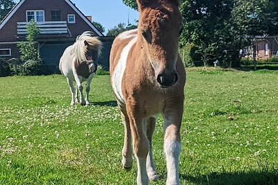 Ferienhof "Karl"