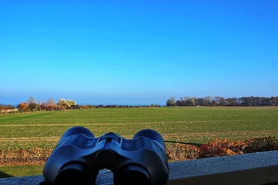 Reethaus "Lachmöwe*****"