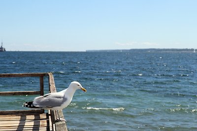 Appartamento Vacanza con famiglia Eckernförde