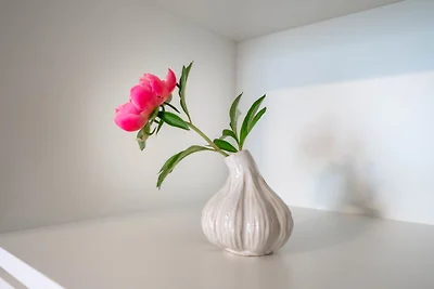 BodenseeApartment Nest