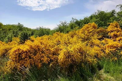 Ferienwohnung Patchwork