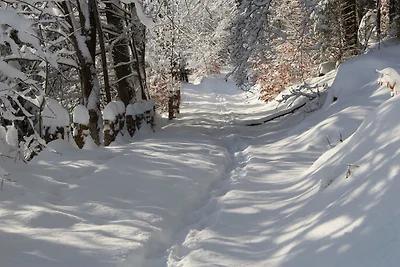 Vakantieappartement Gezinsvakantie St. Blasien