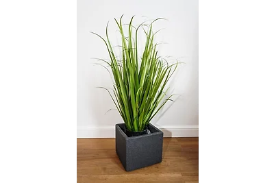 Ferienwohnung Mecklenburg