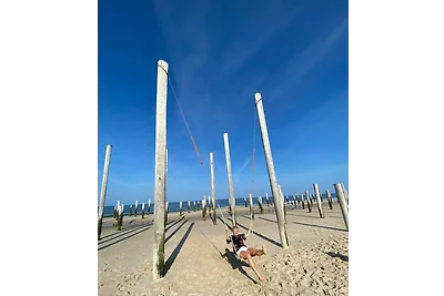 Nr. 88 Neues, ruhiges