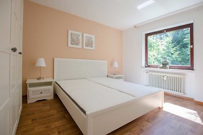 Vakantieappartement Gezinsvakantie Bad Sachsa