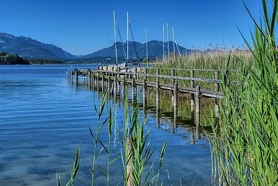 Bergfrühling