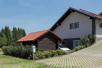 Vakantieappartement Gezinsvakantie Buchenberg