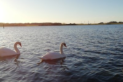 Vakantieappartement Gezinsvakantie Maasholm-Bad