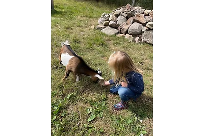 Appartamento Vacanza con famiglia Wilsum