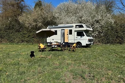 Vakantiehuis Ontspannende vakantie Riepsdorf