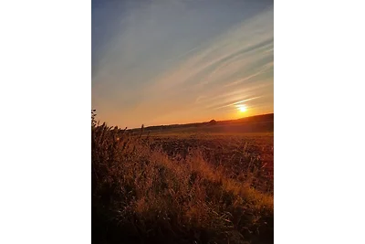 Vakantieappartement Gezinsvakantie Gadebusch