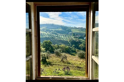 Casa vacanze Vacanza di relax Pisa