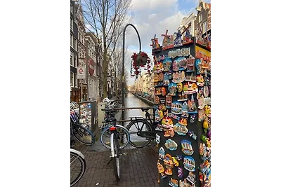 Nr. 90 Neues, ruhiges Ferienhaus