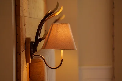 Altes Forsthaus - Fewo "Wiesental"