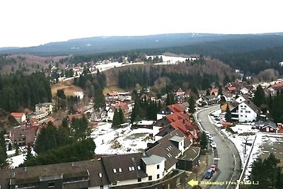 Harz Fewo Eulennestchen L.2