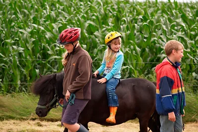 Ferienhof Westermann (Eulennest)