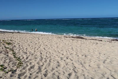 CASA YAN-INOLVIS. MAGUANA BEACH