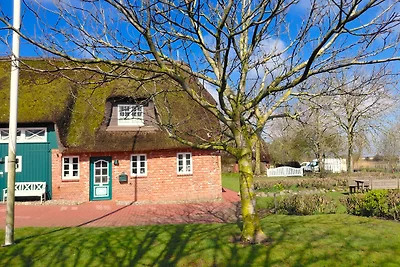 Vakantieappartement Gezinsvakantie Wrixum