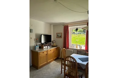 Direkt am Fluss und im Mölltal!