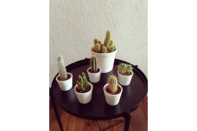 Ferienwohnung Südschwarzwald