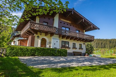 Vakantieappartement Gezinsvakantie Ramsau am Dachstein