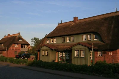 Ferienwohnung Nr. 06 (EG)