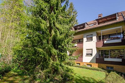 Vakantieappartement Gezinsvakantie Bad Sachsa