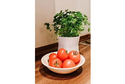 Gemütliche FeWo mit Balkon & WIFI