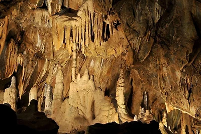 Ferienhaus Nr. 24, Typ A