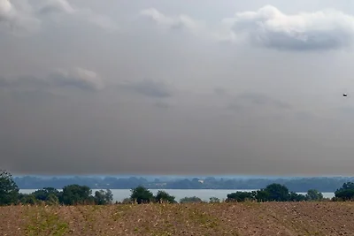Finca Franca